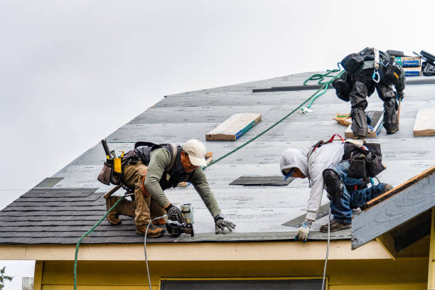 Professional Gutter Installation technician working in Danvers, MN